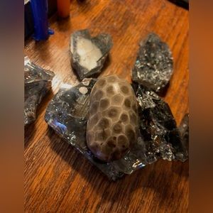 Petoskey stone